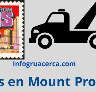 Gruas en Mount Prospect